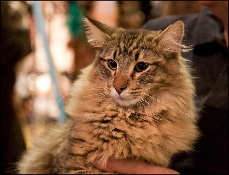 Inconnu 15.jpg - Inconnu